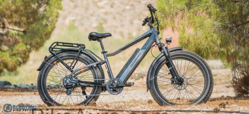 Rad Power Bikes RadRover 6 Plus ficha tecnica 